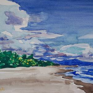 Collection Watercolor Painting by Patricia Coenjaerts