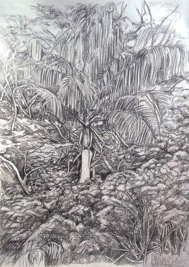 Print of Tree Drawings by Patricia Coenjaerts