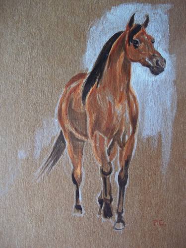 Original Figurative Horse Paintings by Patricia Coenjaerts