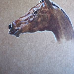 Collection Horses