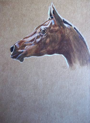 Original Horse Paintings by Patricia Coenjaerts