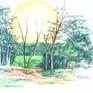 A dominating impression of a landscape at 5 PM in the tropics.  A difficult day completely forgotten.  You figure out how centered and balanced is this warm and fresh drawing.  I hope it deserves a frame.  Thanks for looking.