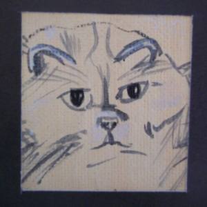 Collection Felinae
