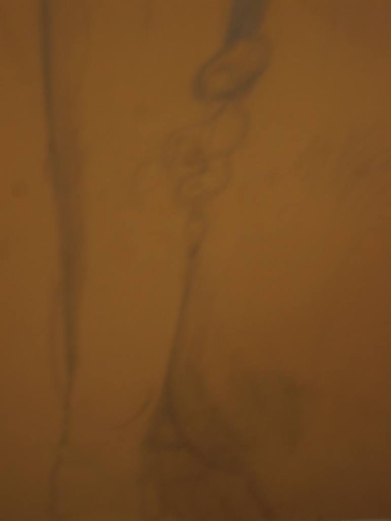 Original Figurative Nude Drawing by Patricia Coenjaerts