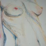 Collection Nude
