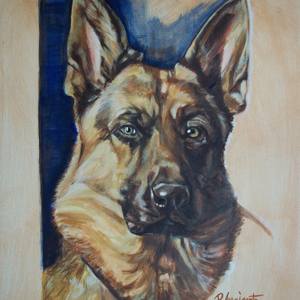 Collection Dogs