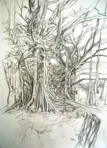 Original Surrealism Tree Drawings by Patricia Coenjaerts