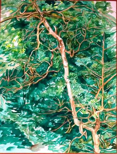 Original Tree Paintings by Patricia Coenjaerts