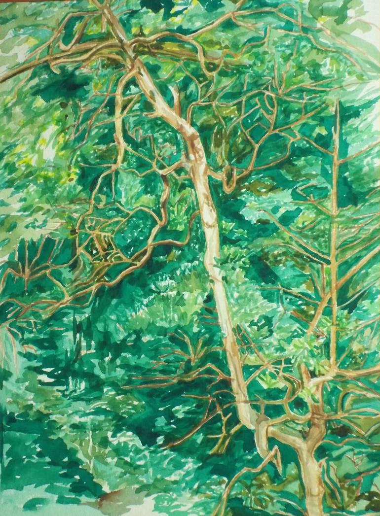 Original Fine Art Tree Painting by Patricia Coenjaerts