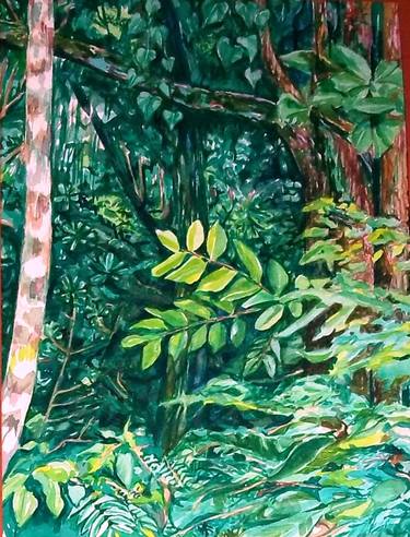 Original Fine Art Botanic Paintings by Patricia Coenjaerts