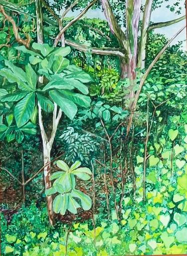 Original Fine Art Garden Paintings by Patricia Coenjaerts
