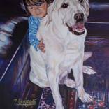 Collection Dogs
