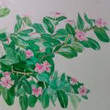 Collection Watercolor Painting by Patricia Coenjaerts