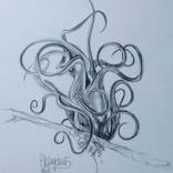Collection Drawings