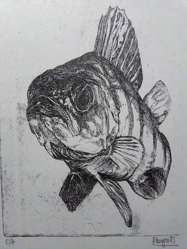 Print of Fish Printmaking by Patricia Coenjaerts
