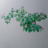 Collection Watercolor Painting by Patricia Coenjaerts