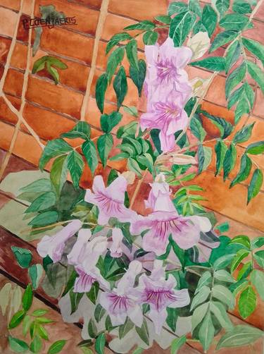Print of Figurative Floral Paintings by Patricia Coenjaerts