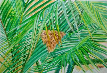 Nest in palmtree thumb