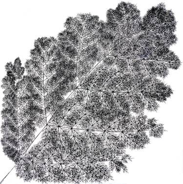 Print of Minimalism Nature Drawings by isabelle cridlig