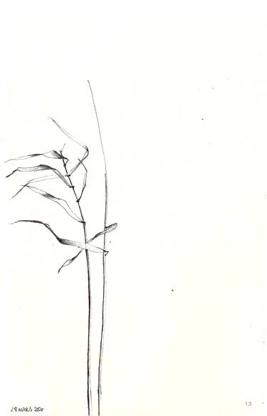 Print of Minimalism Botanic Drawings by isabelle cridlig