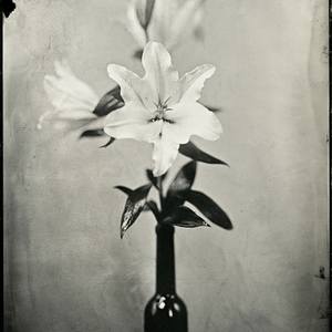 Wet Plate Collodion, Ambrotype 1/1