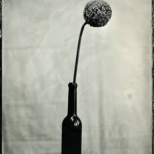 Wet plate collodion, ambrotype 1/1