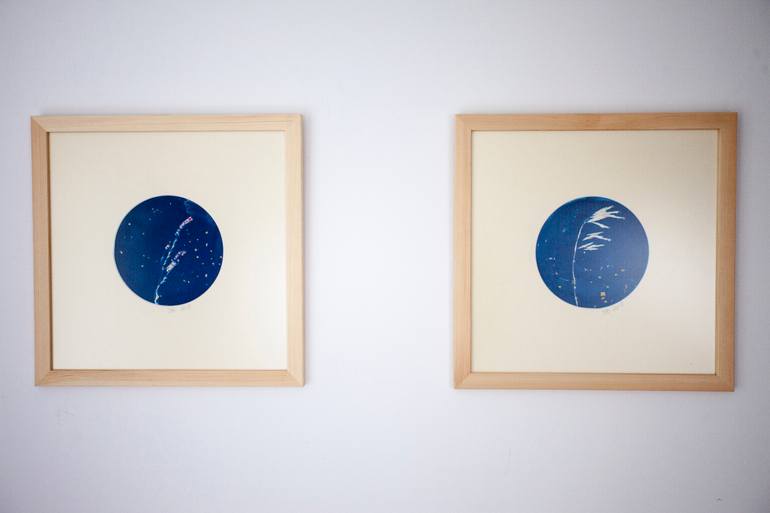 Original Abstract Still Life Photography by Joanna Borowiec