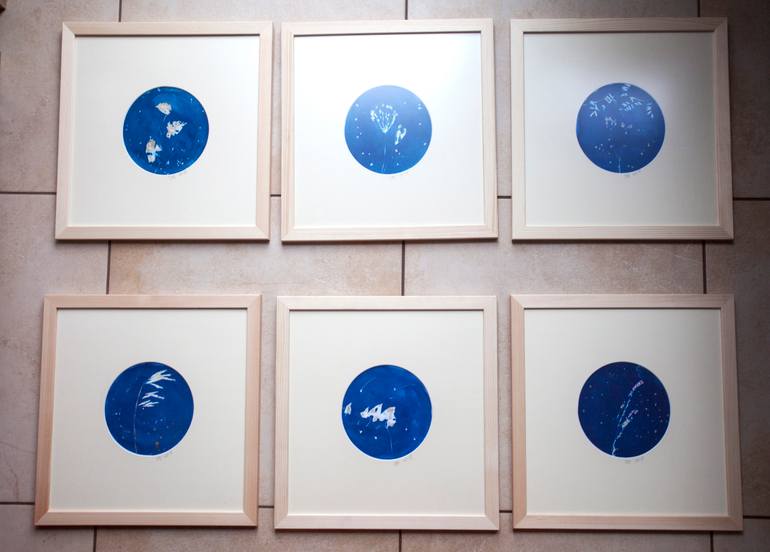 Original Abstract Still Life Photography by Joanna Borowiec