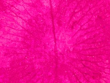 Original Fine Art Floral Photography by Tjaša Iris