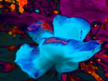 Original Expressionism Floral Photography by Tjaša Iris