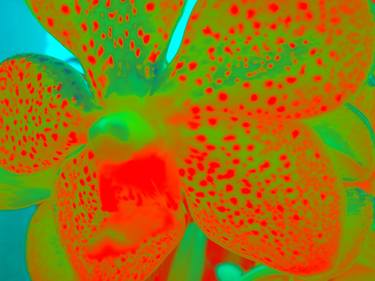 Original Abstract Floral Photography by Tjaša Iris