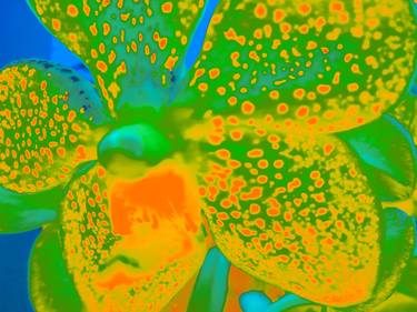 Original Abstract Floral Photography by Tjaša Iris