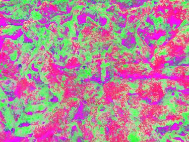 LAND,  Red-Green-Magenta, 120 X 160 CM - Limited Edition of 12 thumb