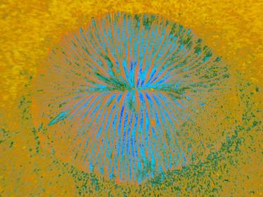 PAK CHEE FLOWER MONEY, (orange-blue), 130 X 175 CM, 2022 thumb