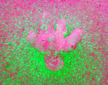 SACRED APPARENCE OF A BENEVOLENT SEA DEITY, pink., 2022 thumb