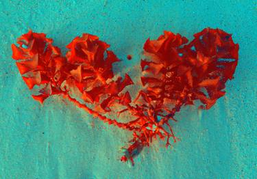 BOUQUET OF RED SEA FLOWERS, 130 X 186 CM, 2022 thumb