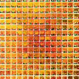 Orange Rhythm by SE RIN PARK