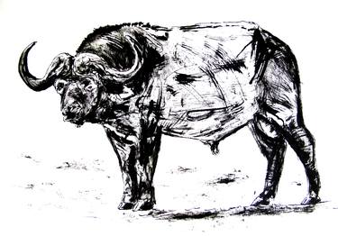 Original Abstract Expressionism Animal Drawings by David Rabie