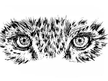Print of Conceptual Animal Drawings by David Rabie