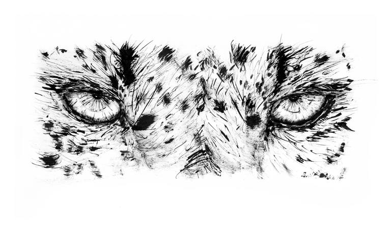 black and white cheetah eyes
