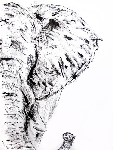 Untitled II - Elephant thumb