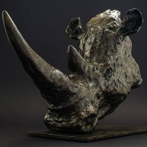 Collection Save the Rhino Campaign