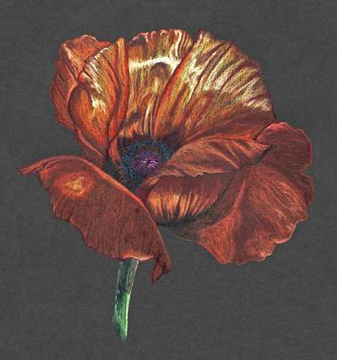 The Red Poppy (Giclée Print 1 of 3) thumb