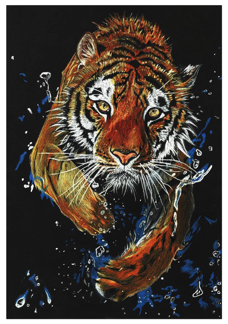 cool colored tiger drawings