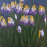 Twelve Irises by Ericka Kinnear