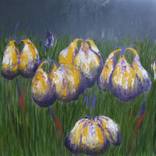 Large irises (5) by Ericka Kinnear