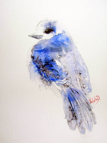 (sold, TX, USA) BLUE JAY thumb