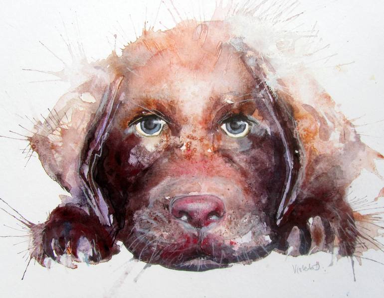 A Chocolate Labrador Puppy - Print