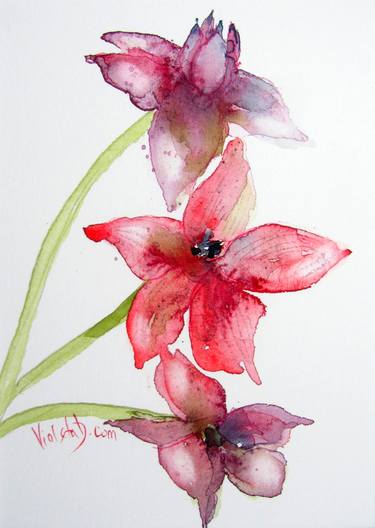 Original Illustration Floral Paintings by Violeta Damjanovic-Behrendt