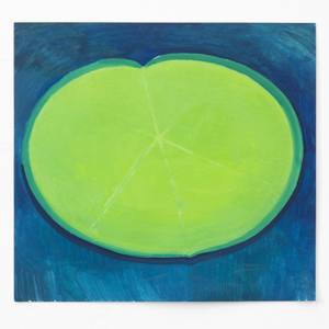 lily pad no.3  A study of distance between normal and abnormal